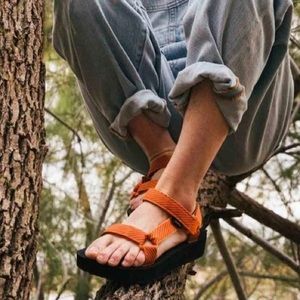 Striped apricot midform Teva